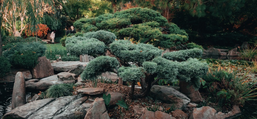 Landscaping advice post
