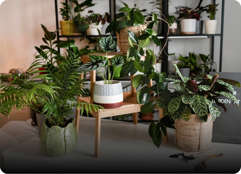 Planting design service