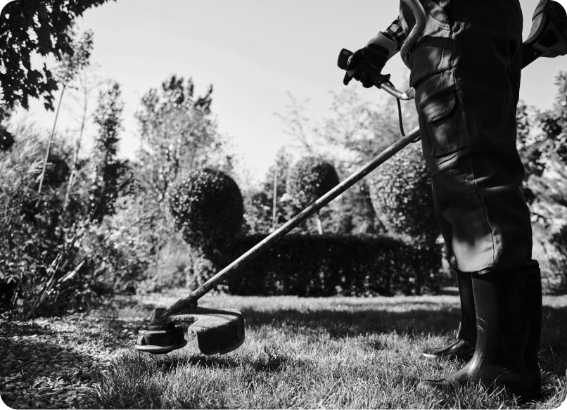 Garden maintenance service
