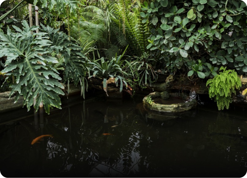 Water feature installation service