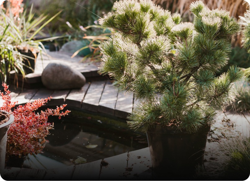 Garden consultation service
